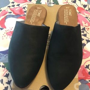 Toms Jutti Mule NEW IN BOX
